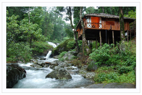 Blue Ginger Wayanad Resorts